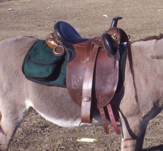 Kimberley Series Superior Poley from Down Under Saddle Supply