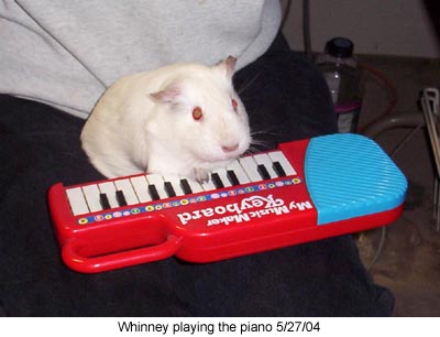 whinneyplayingpiano 5-27-04.jpg