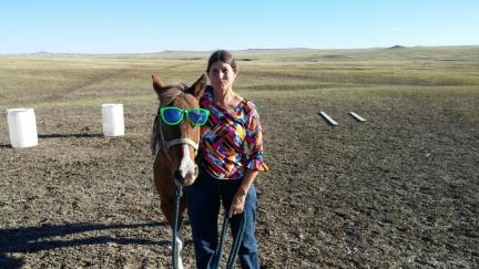 Horse Tricks Dream Maker Wearing Sunglasses 2015-10-10