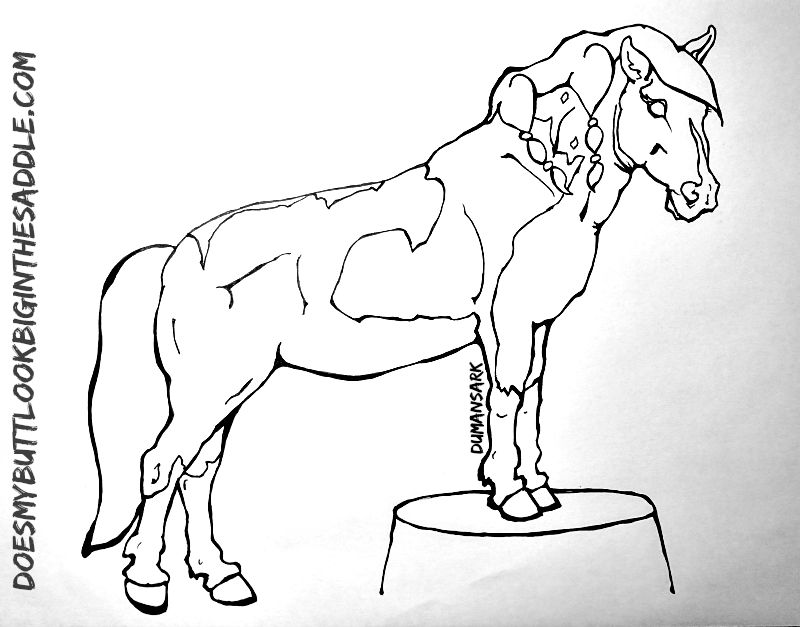 Horse Agility Coloring Book Dream Maker Pedestal