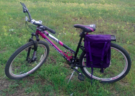 My Bike with New Panniers 2014-06-27