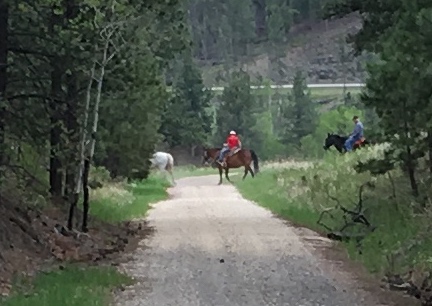 Horse Back Riders Crossing Mickelson Trail 2016-06-01
