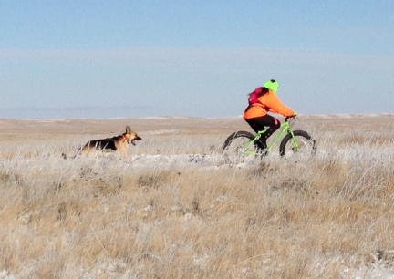 Marna with Tekoa Snow Ride 2014-11-14