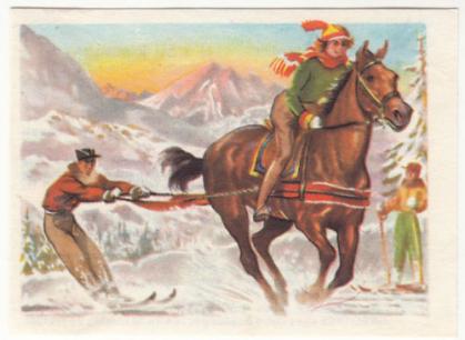 Horse Skijoring Old Card