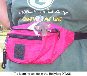 Tia in BellyBag.jpg