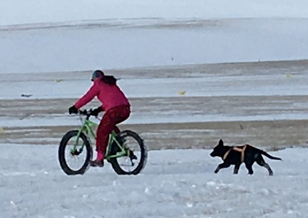 Marna Tabaliah Bicycle Buddy 2017-02-04